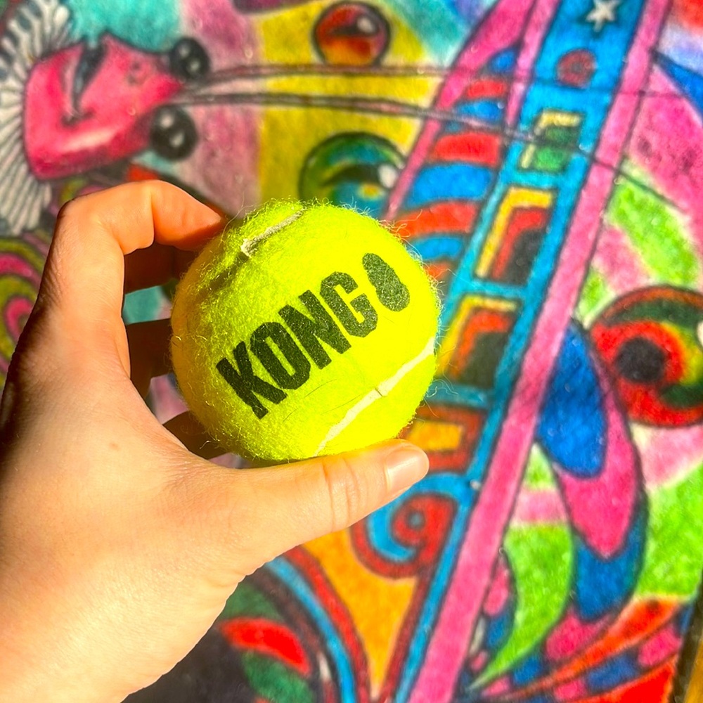 KONG tennis ball